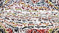 image: image from wild ones