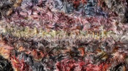 image: image from wild ones