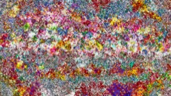 image: image from wild ones