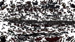 image: image from accent gradient nib