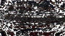 image: image from accent gradient nib