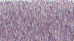 image: image from active