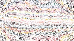 image: image from background texture dither