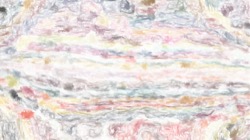 image: image from bristle