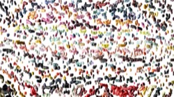 image: image from cloners