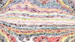 image: image from cloners