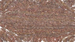 image: image from cloners