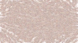 image: image from cloners