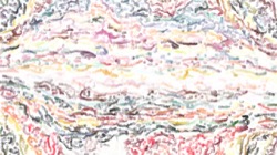 image: image from cloners