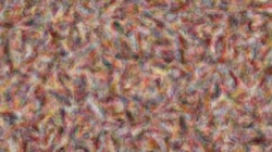 image: image from fizzy