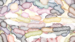 image: image from geo src brushes