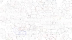 image: image from geo src brushes