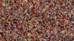 image: 3.5 collection thumbnail