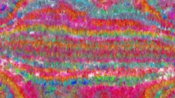 image: image from gradient multinibs