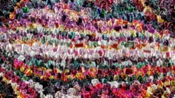 image: image from gradient multinibs