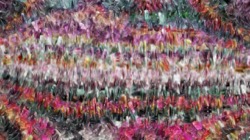 image: image from gradient multinibs