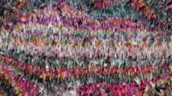 image: image from gradient multinibs