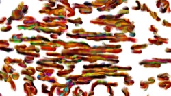 image: image from liquid cloner