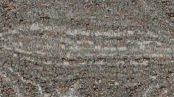 image: image from movie brush variations