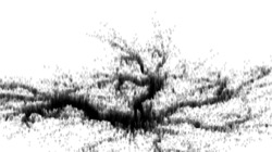 image: image from msg scan