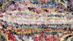 image: image from multinibs