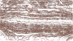 image: image from sketch