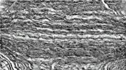 image: image from sketch