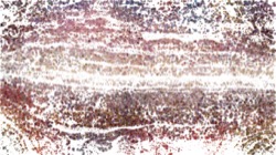 image: image from sketch