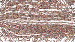 image: image from sketch