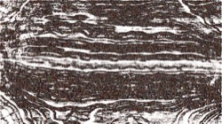 image: image from sketch