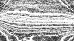 image: image from sketch