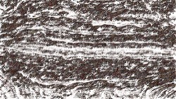 image: image from sketch