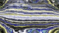 Image: image from wet