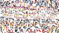 Image: image from wet