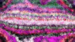 Image: image from wet