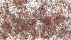 Image: image from wet