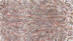 Image: image from wet