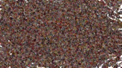 Image: image from wet