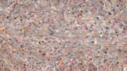 Image: image from wet