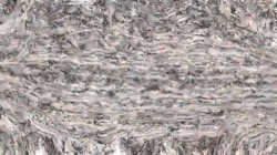 Image: image from wet