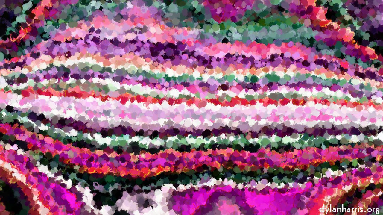 image: wild :: interestingcolourmodification