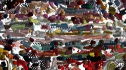 image: image from wild