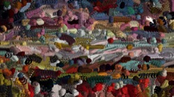 image: image from wild