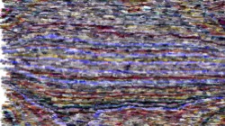 image: image from wild