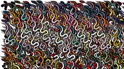 image: image from wild