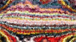 image: image from wild