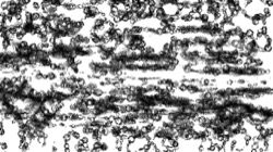 image: image from autopaint ideas 1