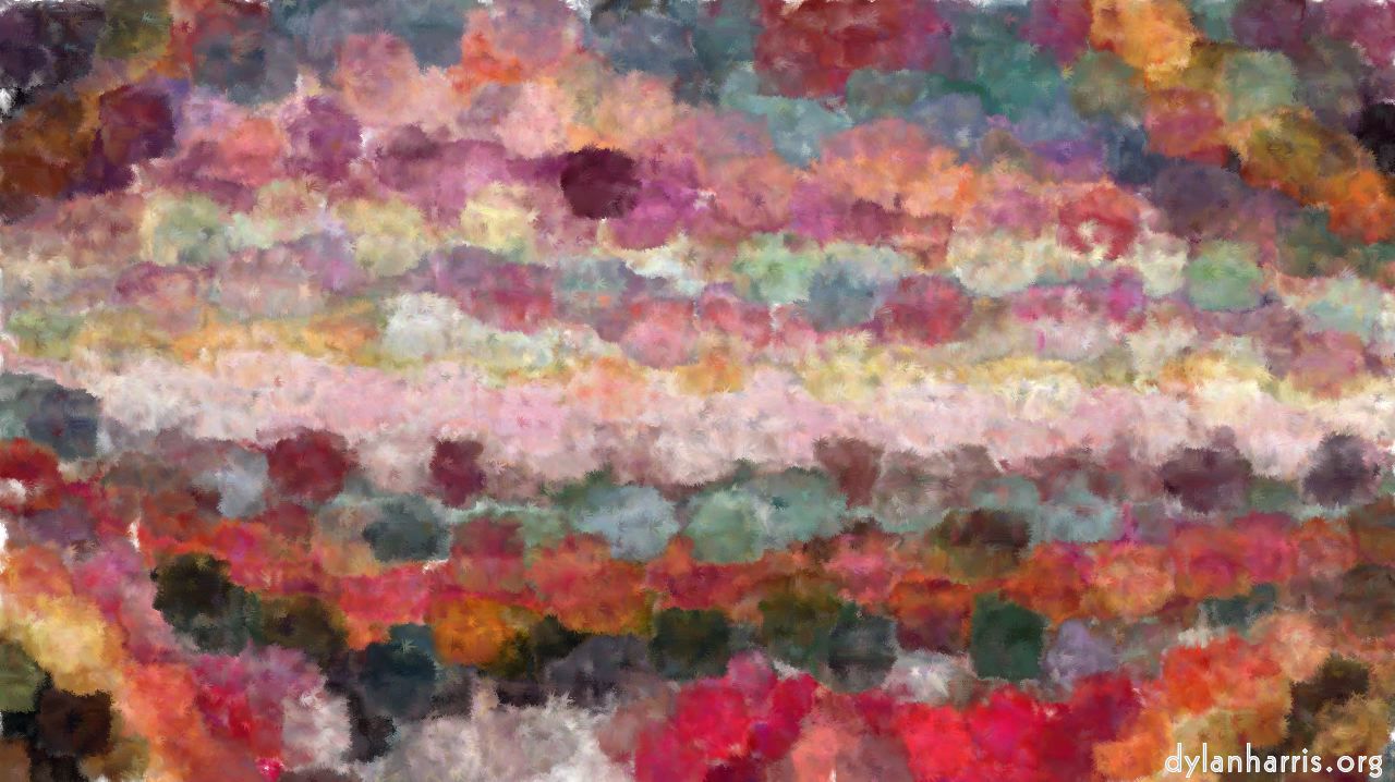 image: fun pack 2 :: wetbloomer1