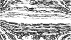 image: 4.0 collection thumbnail