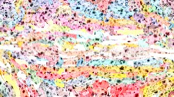 image: image from new msg paint